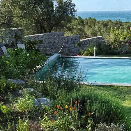 Teomida ホテル İskele