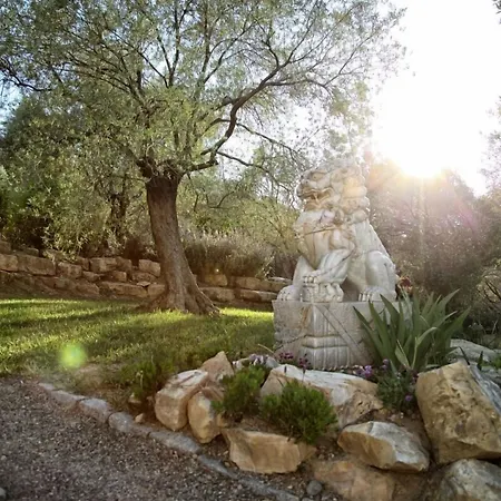 ホテル Teomida 3*