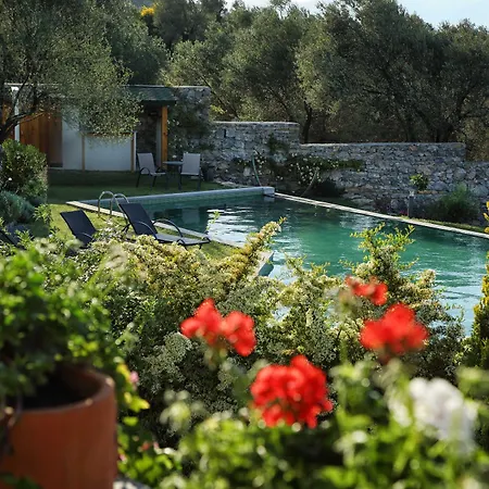 Teomida فندق Iskele